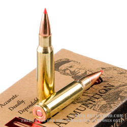 20 Rounds of .308 Win Ammo by Hornady - 150gr SST
