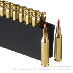 20 Rounds of .243 Win Ammo by Hornady American Whitetail Tipped - 95gr SST
