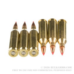 20 Rounds of .243 Win Ammo by Hornady American Whitetail Tipped - 95gr SST