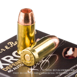 25 Rounds of .45 ACP Ammo by Sellier & Bellot XRG Defense - 165gr SCHP