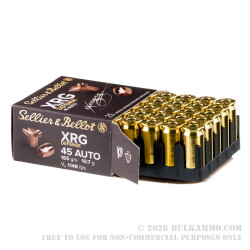 25 Rounds of .45 ACP Ammo by Sellier & Bellot XRG Defense - 165gr SCHP