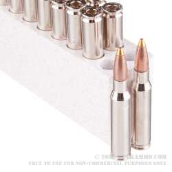 308 - 168 Grain Brass Tip Boat tail - Browning BXC Upland Game - 20 Rounds