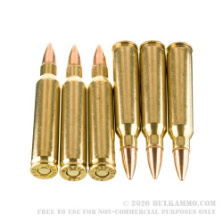 20 Rounds of .223 Ammo by Patriot Sports - 55gr FMJ