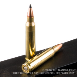 200 Rounds of .223 Ammo by Fiocchi - 40gr V-Max