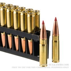 20 Rounds of .300 AAC Blackout Ammo by Hornady Custom - 110gr CX