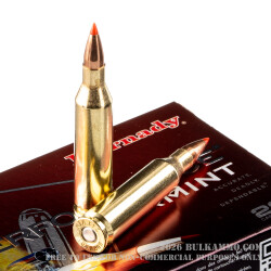 20 Rounds of .243 Win Ammo by Hornady - 75gr V-Max