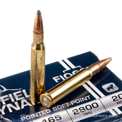 20 Rounds of 30-06 Springfield Ammo by Fiocchi - 165gr PSP