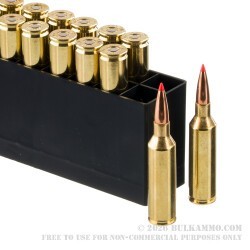 20 Rounds of 6.5 Creedmoor Ammo by Hornady American Whitetail Tipped - 129gr SST