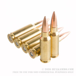 20 Rounds of 6.5mm Grendel  Ammo by Federal - 120gr OTM