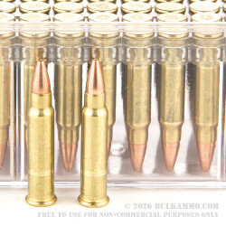 50 Rounds of .17HMR Ammo by CCI - 20gr FMJ