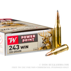 20 Rounds of .243 Win Ammo by Winchester - 100gr PP