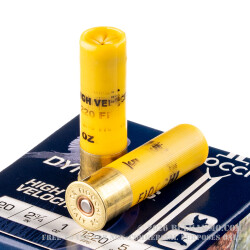 25 Rounds of 20ga Ammo by Fiocchi - 1 ounce #5 shot