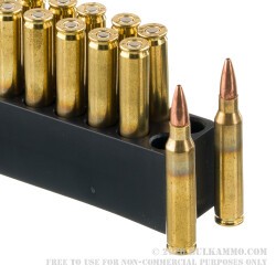 20 Rounds of 5.56x45 Ammo by Armscor Subsonic - 77gr OTM