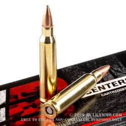 20 Rounds of .223 Ammo by Barnes - 55gr JHP BT