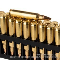 20 Rounds of .223 Ammo by Hornady Superformance - 50gr CX