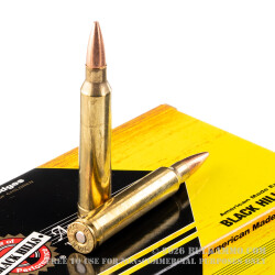 20 Rounds of .300 Win Mag Ammo by Black Hills Gold - 180gr TSX