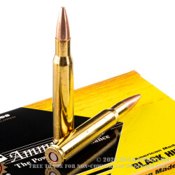 20 Rounds of 30-06 Springfield Ammo by Black Hills Gold - 180gr TSX