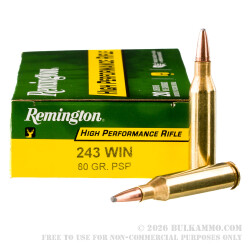 20 Rounds of .243 Win Ammo by Remington - 80gr PSP