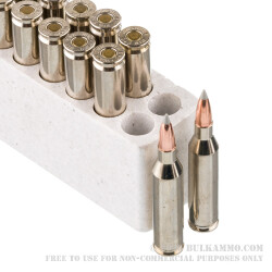 20 Rounds of .243 Win Ammo by Winchester Ballistic SilverTip - 95gr Polymer Tipped 20 Rounds of .243 Win Ammo by Winchester Ballistic SilverTip - 95gr Polymer Tipped