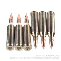 20 Rounds of .243 Win Ammo by Winchester Ballistic SilverTip - 95gr Polymer Tipped 20 Rounds of .243 Win Ammo by Winchester Ballistic SilverTip - 95gr Polymer Tipped