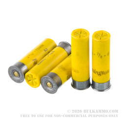 25 Rounds of 20ga Ammo by Remington - 7/8 ounce #6 shot