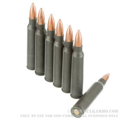20 Rounds of .223 Ammo by Wolf WPA - 55gr FMJ