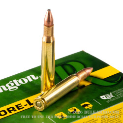 20 Rounds of 30-06 Springfield Ammo by Remington - 125gr PSP