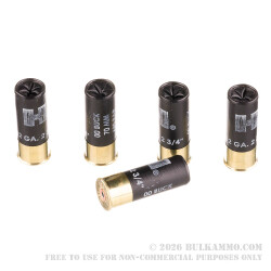 10 Rounds of 12ga Ammo by Hornady BLACK - 00 Buck