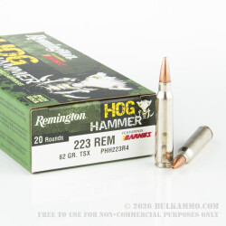 20 Rounds of .223 Ammo by Remington - 62gr TSX