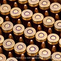 1000 Rounds of .223 Ammo by Federal - 55gr FMJ Packaged in Ammo Can 1000 Rounds of .223 Ammo by Federal - 55gr FMJ Packaged in Ammo Can