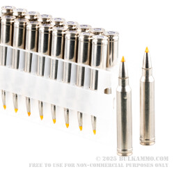 20 Rounds of .300 Win Mag Ammo by Federal Vital-Shok - 180gr Trophy Bonded Tip