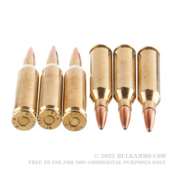 20 Rounds of .243 Win Ammo by Black Hills Gold Ammunition - 85gr TSX