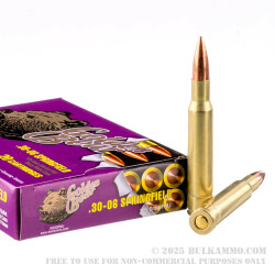 20 Rounds of 30-06 Springfield Ammo by Golden Bear - 145gr FMJ