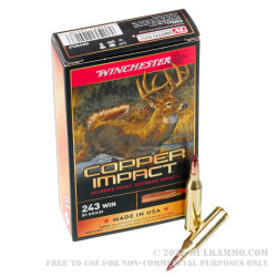 20 Rounds of .243 Win Ammo by Winchester Copper Impact - 85gr Copper Extreme Point