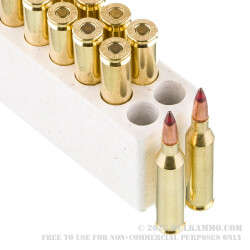 20 Rounds of .243 Win Ammo by Winchester Copper Impact - 85gr Copper Extreme Point