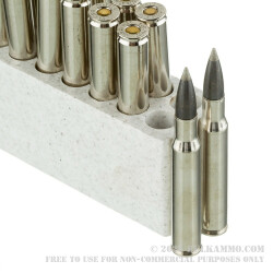 20 Rounds of 30-06 Springfield Ammo by Winchester Ballistic Silvertip - 180gr Polymer Tipped