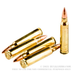 20 Rounds of .223 Ammo by Federal American Eagle - 55gr FMJ