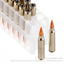 20 Rounds of .223 Ammo by Federal Premium - 40gr Nosler Ballistic Tip