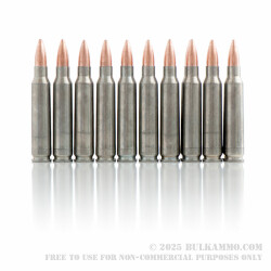 20 Rounds of .223 Ammo by Colt (Silver Bear) - 62gr FMJ