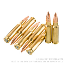 200 Rounds of .308 Win Ammo by Federal Gold Medal CenterStrike - 168gr OTM