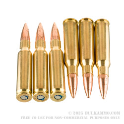 200 Rounds of .308 Win Ammo by Federal Gold Medal CenterStrike - 168gr OTM