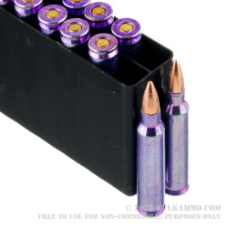 1000 Rounds of .223 Ammo by Winchester DHS - 55gr FMJ