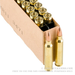 1000 Rounds of .223 Ammo by Winchester USA - 62gr FMJ