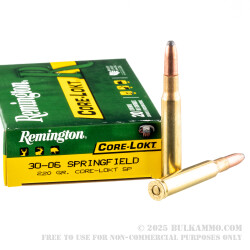 20 Rounds of 30-06 Springfield Ammo by Remington - 220gr SP