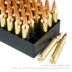 50 Rounds of .204 Ruger Ammo by Fiocchi - 32gr V-MAX