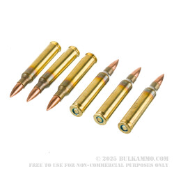 1000 Rounds of 5.56x45 Ammo by Federal American Eagle - 55gr FMJ XM193