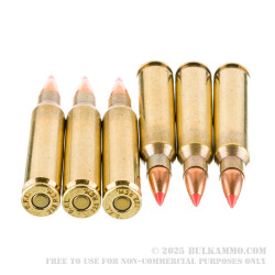 50 Rounds of .223 Ammo by Fiocchi - 55gr V-MAX