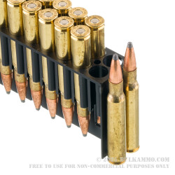 20 Rounds of 30-06 Springfield Ammo by Fiocchi - 165gr PSP