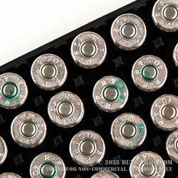 500  Rounds of .40 S&W Ammo by Remington Nickel Plated - 180gr MC