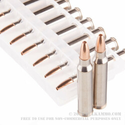 20 Rounds of .223 Ammo by Federal V-Shok - 43 Grain HP Speer TNT Green